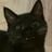 Andrew Kiryan's profile picture