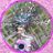 Phyla's profile picture