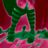 Elizabeth Dubstep Knowles's profile picture