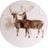 Sstaggat's profile picture