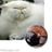 Emi Lee Kone's profile picture