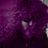 Toni Tress's profile picture
