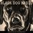 Black Dog Radio's profile picture