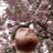HUTCH's profile picture