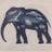 Indigo Rosa's profile picture