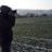 Lukas Jecny's profile picture