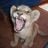 Johann Cronje's profile picture