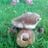 Patrick Savage's profile picture