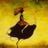 Strange Worlds's profile picture