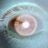 Hoek35's profile picture