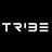Tribe XR's profile picture
