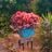 Roig Ventiuno Crea's profile picture