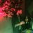 Kino Sousa's profile picture