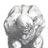 Dan's profile picture