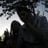 Sam L-f's profile picture