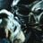 Animal9567's profile picture