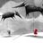 dimitris_weird_fishes's profile picture