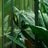 A Turmeric-Beetroot Mix's profile picture