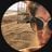 ash_alder's profile picture