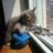 Nekomancer105's profile picture