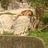 Carte's profile picture