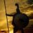 Nikos Maritsas's profile picture