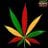 Sweet Reggae Music's profile picture