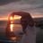 Artem Lyubimtsev's profile picture