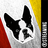 Shannon Aston's profile picture