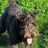 Anatol Morswin's profile picture