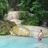 Bhairava Michael Swain Patters's profile picture