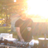 Sunset Soiree-DJ Joshua-Dallas's profile picture