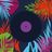 Safari Disco's profile picture