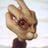 Yani's profile picture