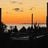 rick shearman music's profile picture