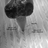 Le Sillon Voyageur's profile picture