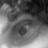 Cat3694's profile picture