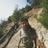 Roots Wood's profile picture