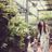 Angela Tjiputra's profile picture