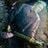 Elliot Wheeler's profile picture