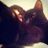 Bruno Mushug's profile picture