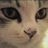 Bibiana Graeff's profile picture
