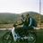 Nino El Khoury's profile picture