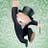 Reel Monopoly's profile picture