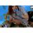 Charlene Rossi's profile picture