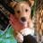 Kota Watanabe's profile picture