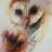 Tara Rosecrans's profile picture