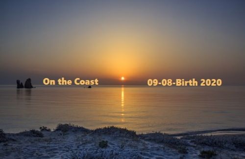 On the Coast 09-08-Birth2020