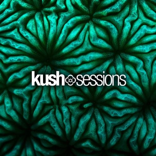 KushSessions - #007 Liquid Love (Liquid Drum & Bass Mix 2021)