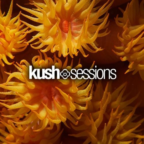 Download KushSessions - #008 Liquid Love (Liquid Drum & Bass Mix 2021) mp3